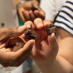 Artisan Chocolate Journey Roatan at Carambola Chocolate Factory