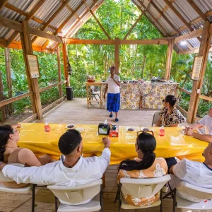 Alternative view of CHOCOLATE EXPERIENCE & CARAMBOLA GARDENS