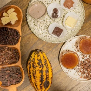 Chocolate Experiences